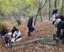 Epping Forest Fieldwork Trip 2