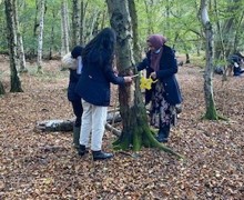 Epping Forest Fieldwork Trip 3