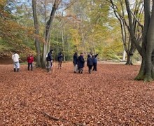 Epping Forest Fieldwork Trip 4